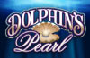 Dolphins Pearl